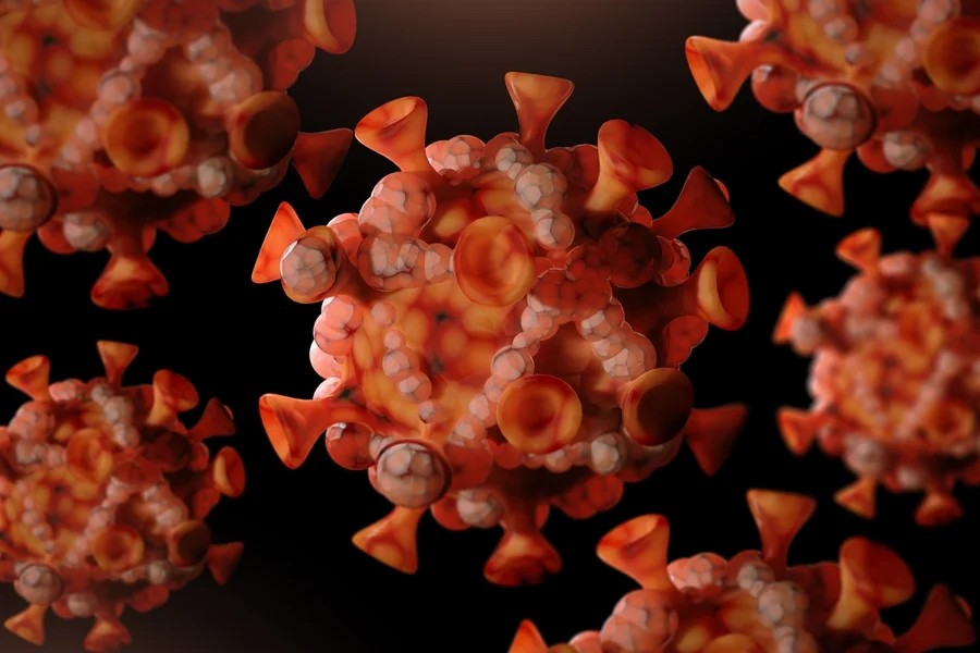 MPOX – Teremos uma nova pandemia?