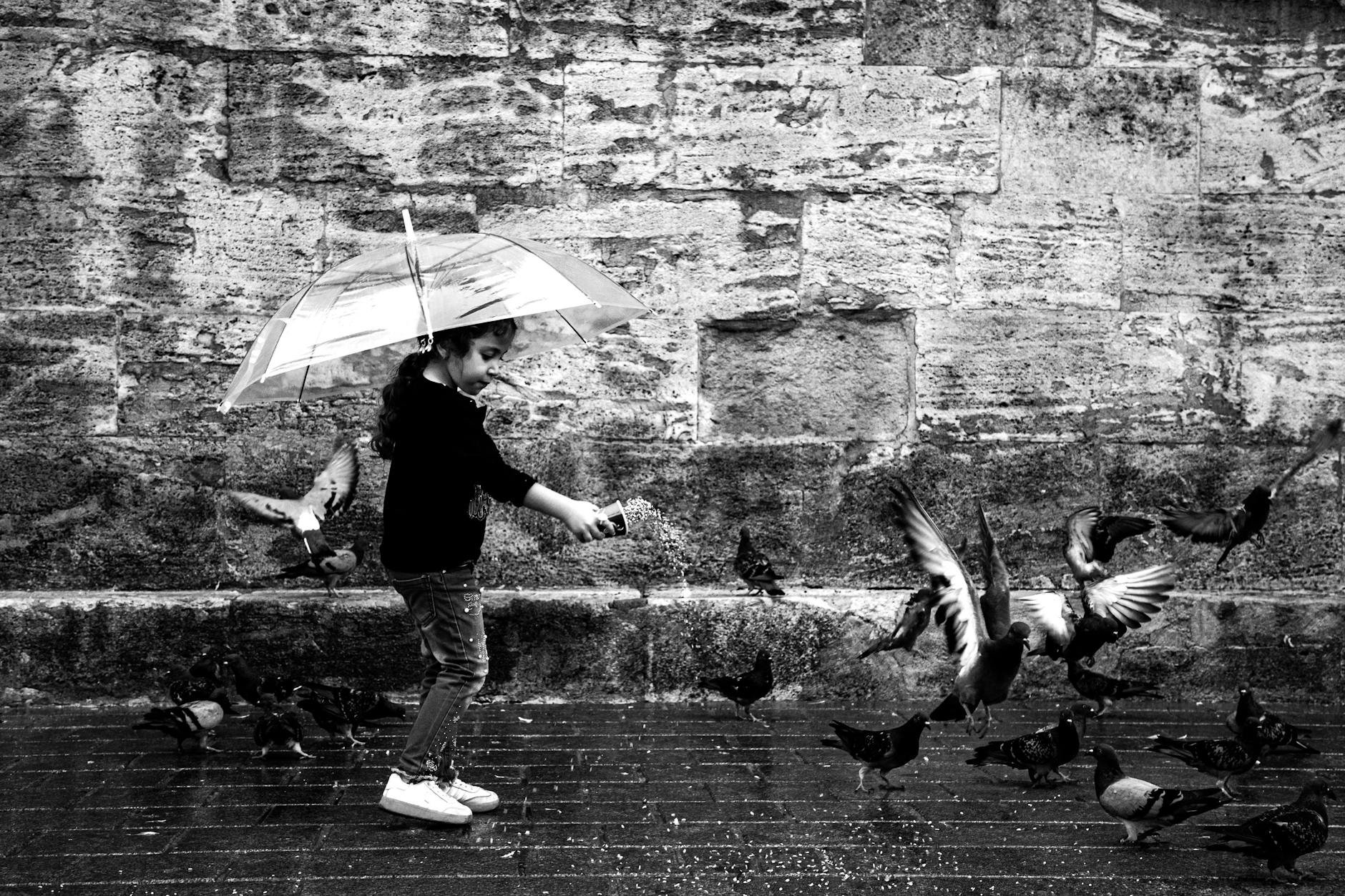 child feeding birds under umbrella in istanbul